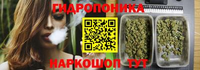 гашик Усть-Джегута