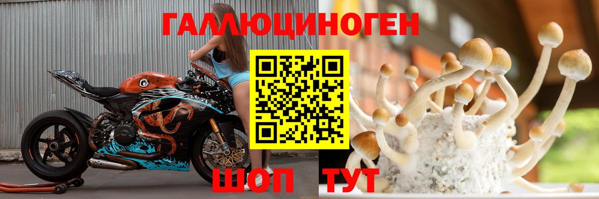 Благодарный  Галлюциногенные грибы ЛСД  Вход с VPN 